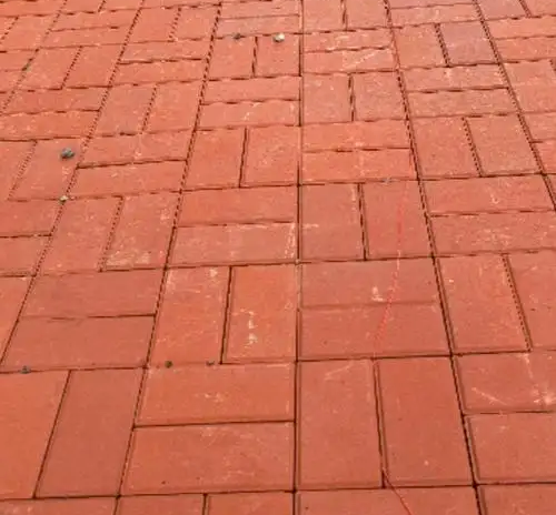 1745391796542.jpg
